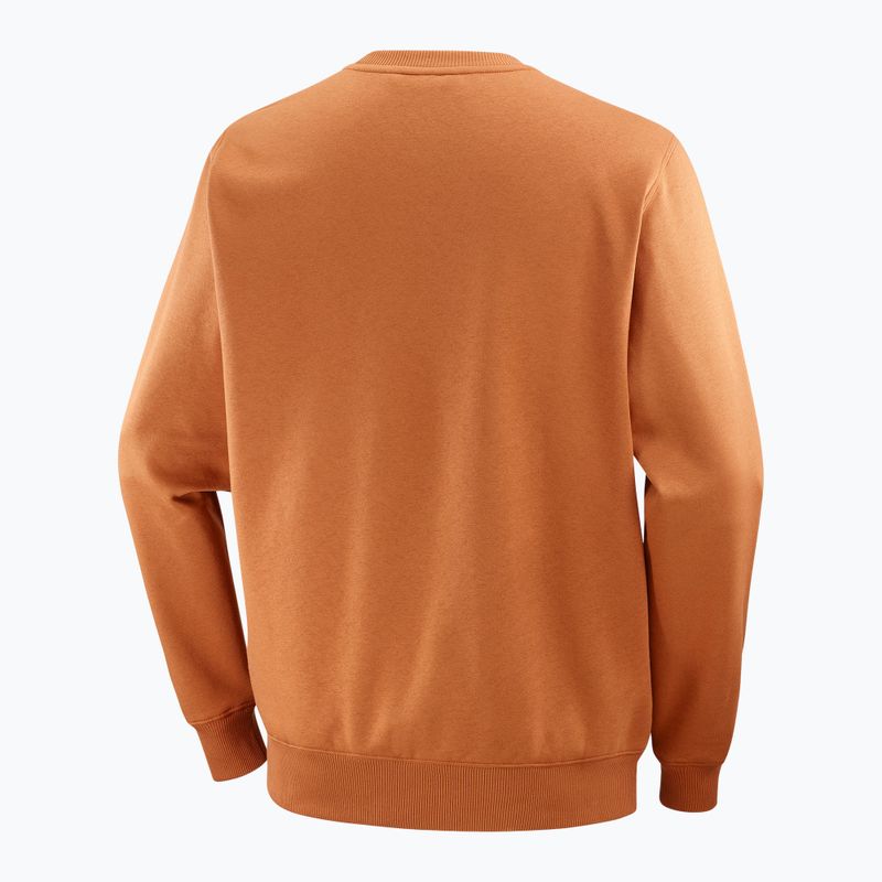Felpa uomo Salomon Logo Crewneck sierra 6