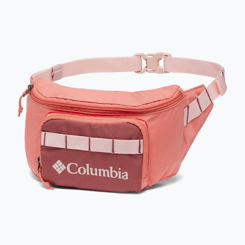 Marsupio Columbia Zigzag Hip Pack pesca sbiadita/beetola sbiadita