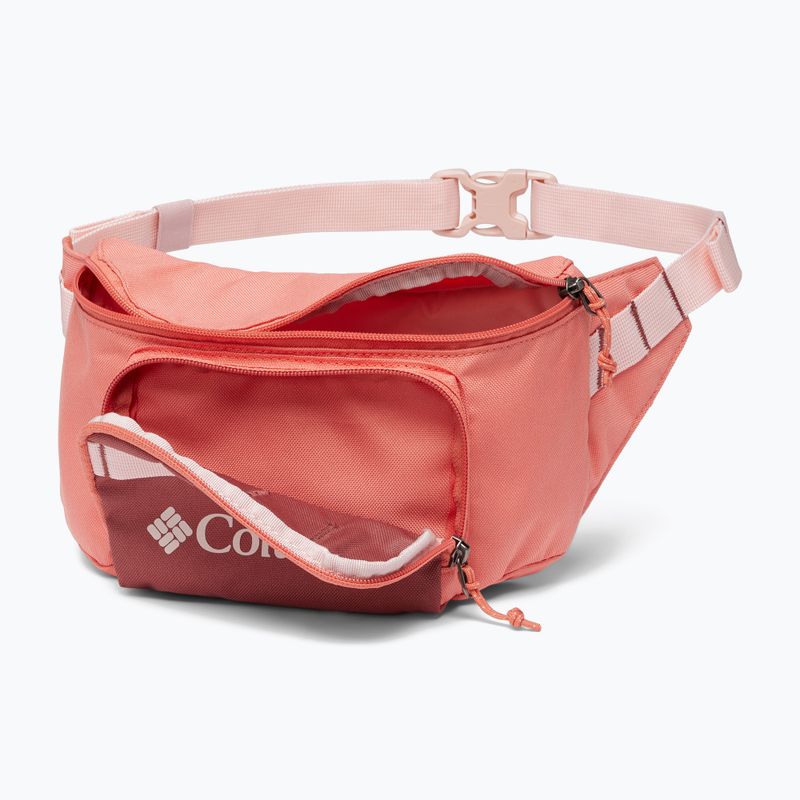 Marsupio Columbia Zigzag Hip Pack pesca sbiadita/beetola sbiadita 3