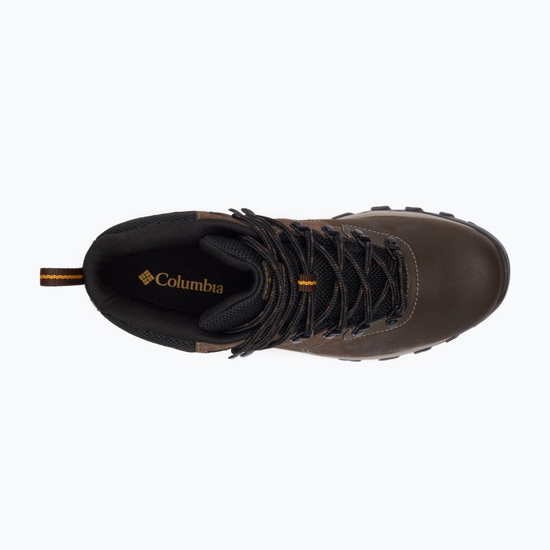 Columbia Newton Ridge Plus II Wp corodovan/squash scarpe da trekking da uomo 16