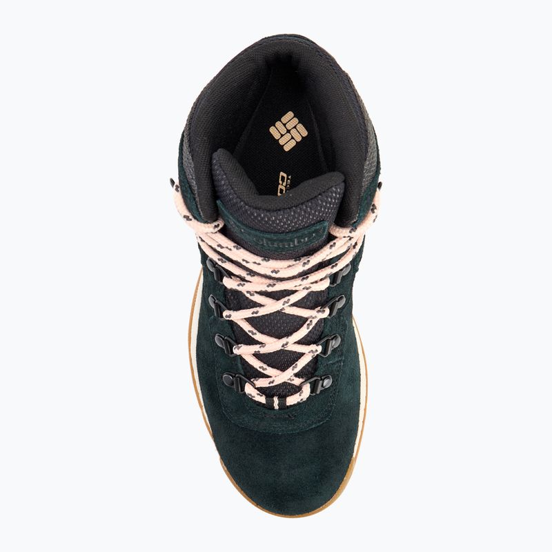 Scarpe da trekking da donna Columbia Newton Ridge Plus WP Amped nero/rosa arrossato 5