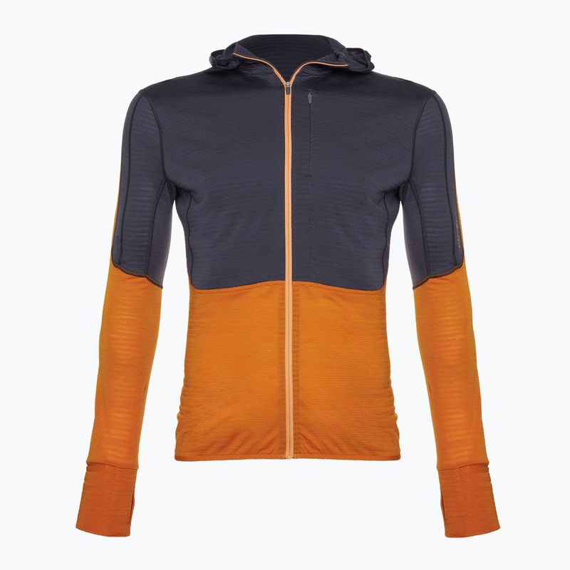 Felpa Icebreaker Merino 200 Realfleece Descender Zip Hoodie Uomo grafite/grigio trekking 7