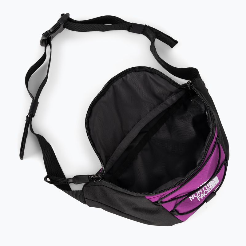 The North Face Jester Marsupio lombare viola/bianco 5