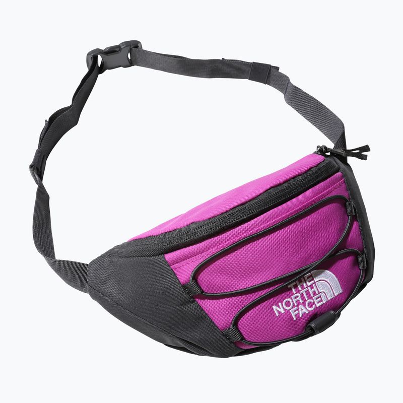 The North Face Jester Marsupio lombare viola/bianco 6