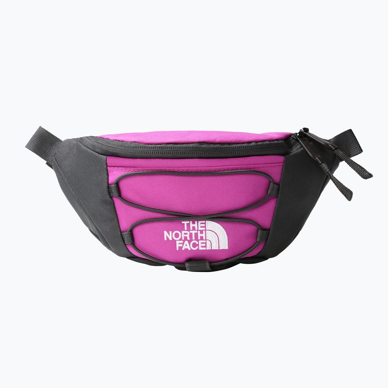 The North Face Jester Marsupio lombare viola/bianco 7