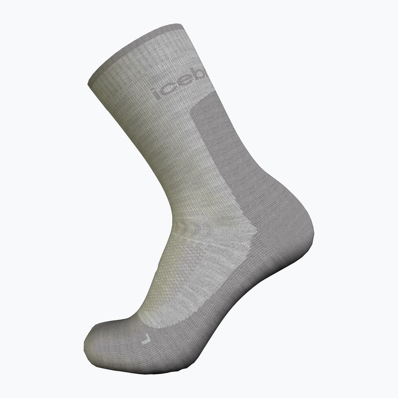 Calze da trekking Icebreaker da uomo Merino Hike+ Light Crew ether/alloy 3