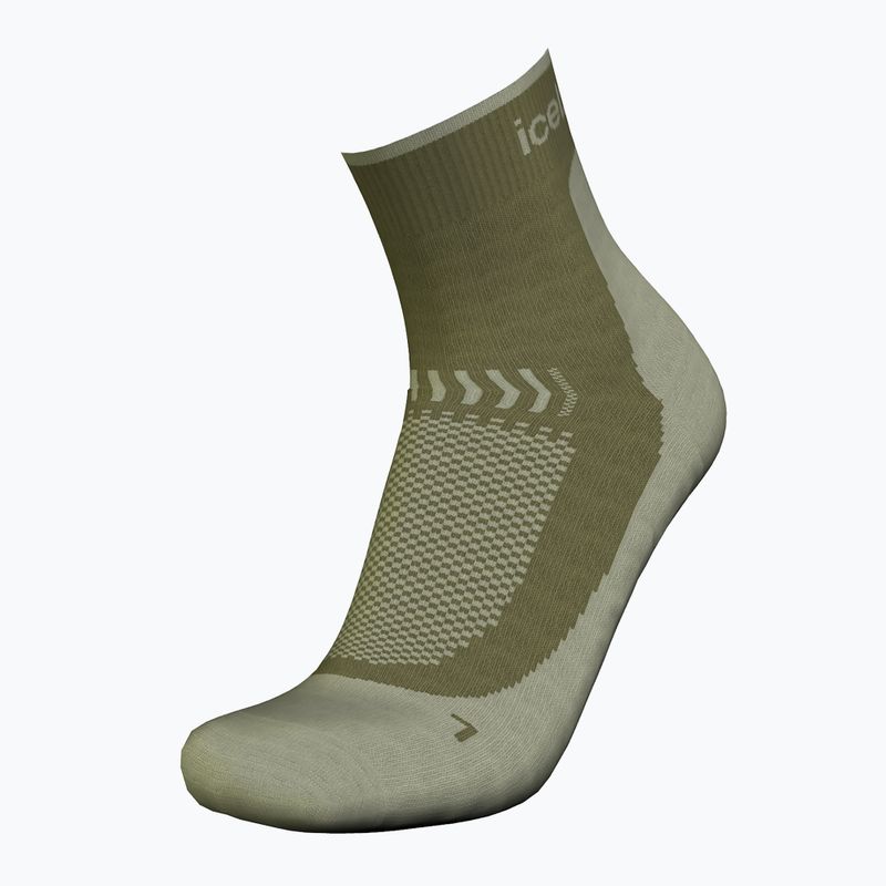 Calze da trekking Icebreaker Merino Hike+ Light Mini loden/lichen per uomo