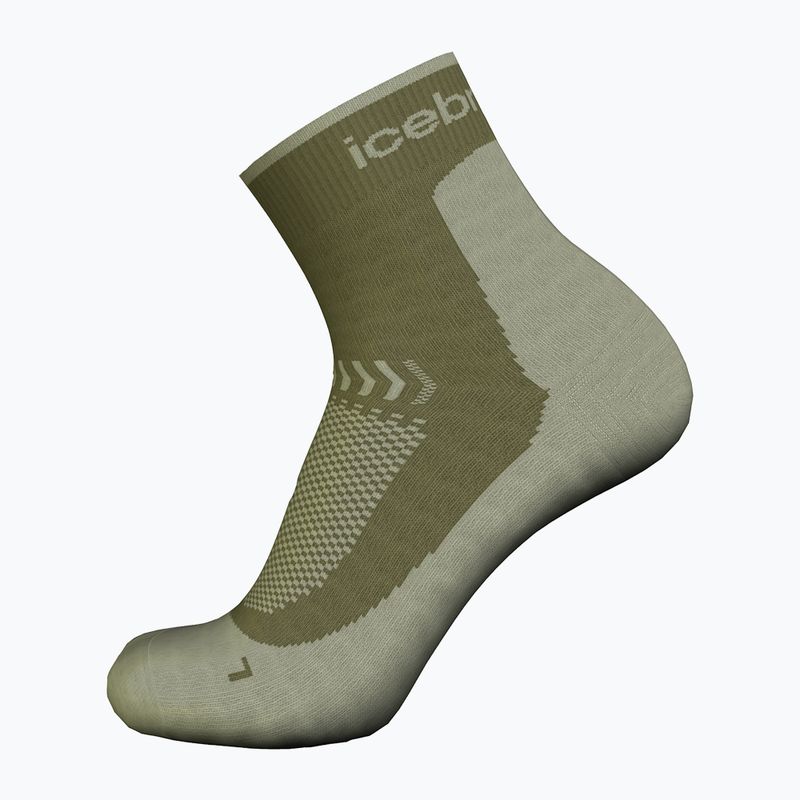Calze da trekking Icebreaker Merino Hike+ Light Mini loden/lichen per uomo 3