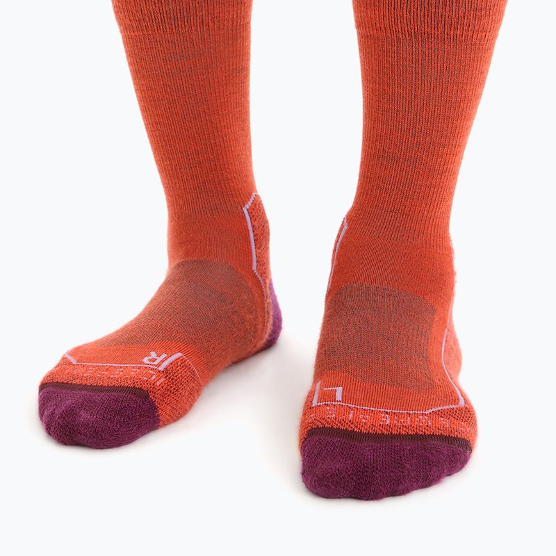 Calze da trekking Icebreaker da donna Hike+ Light Crew rosso 3