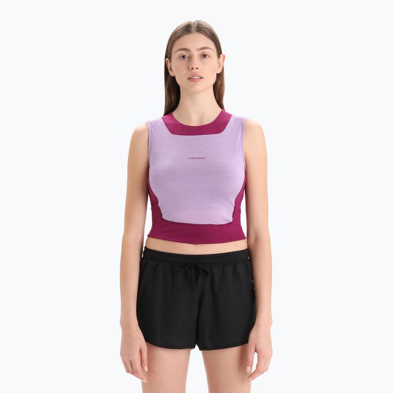 Icebreaker canotta termica da donna Zoneknit Cropped Bra-Tank gaze viola