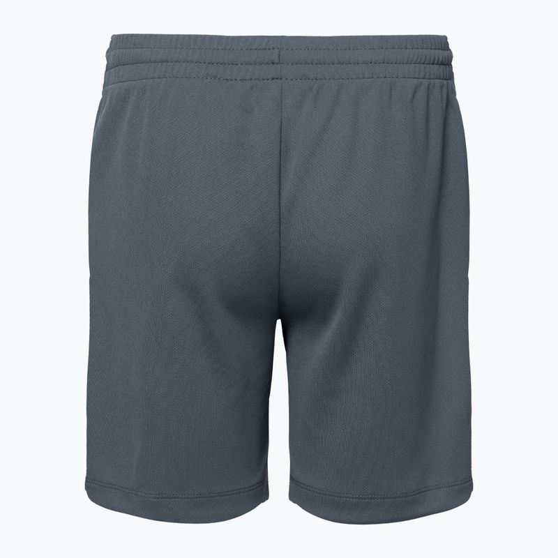 Pantaloncini da bambino Nike Dri-Fit Multi smoke grigio/bianco 2