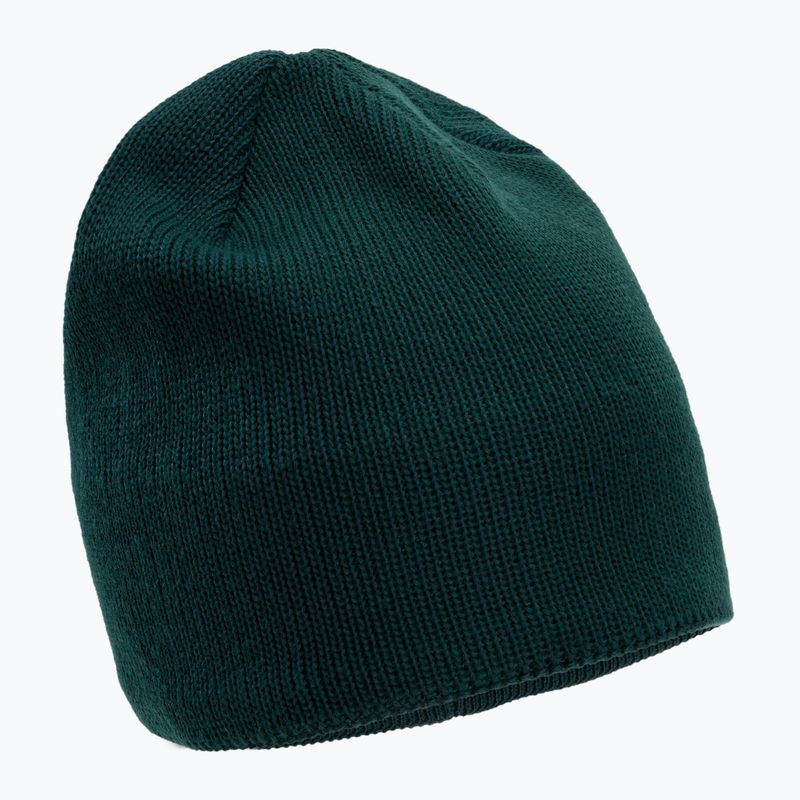 The North Face Bones Cappello invernale verde ponderosa riciclato