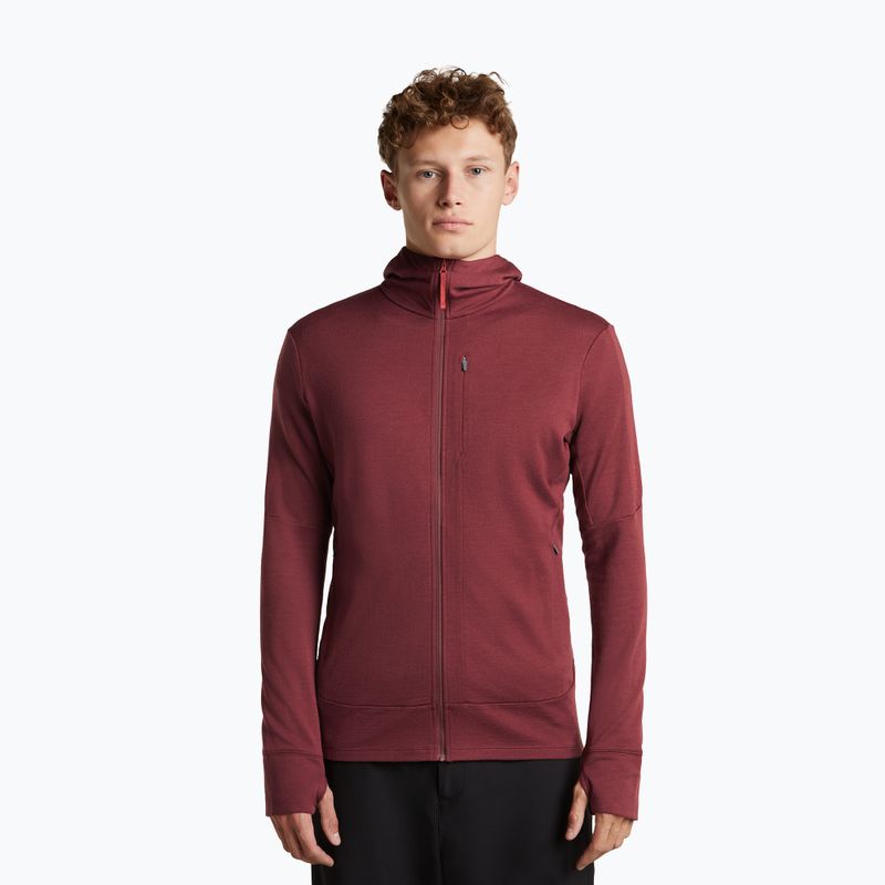 Felpa da uomo Icebreaker Merino 260 Quantum IV LS Zip Hoodie port/agate