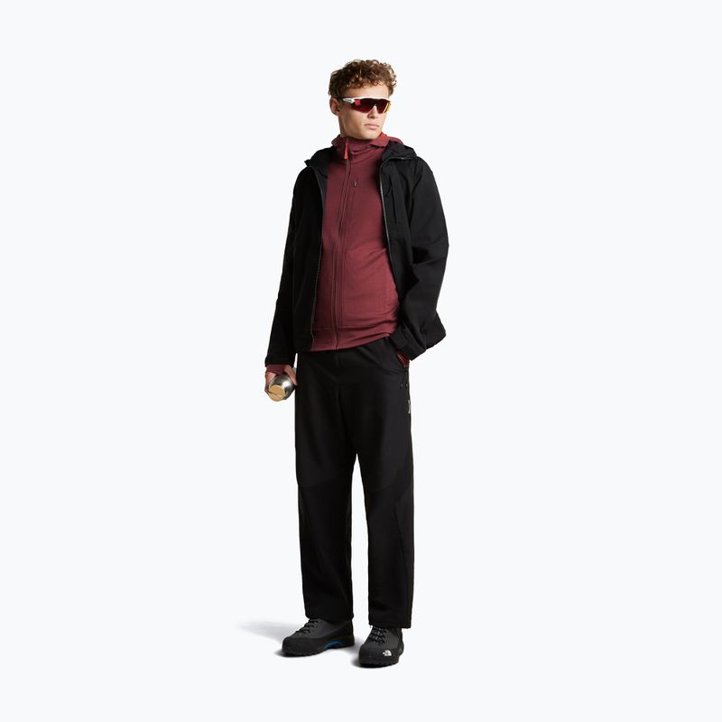 Felpa da uomo Icebreaker Merino 260 Quantum IV LS Zip Hoodie port/agate 2