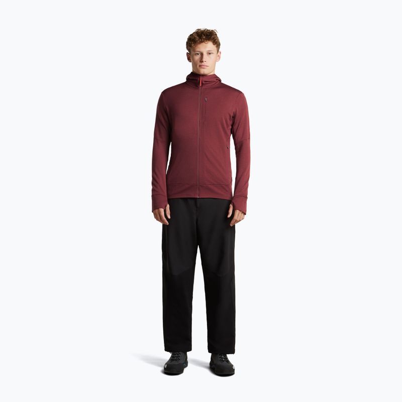 Felpa da uomo Icebreaker Merino 260 Quantum IV LS Zip Hoodie port/agate 4