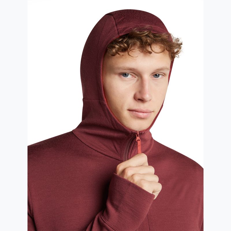 Felpa da uomo Icebreaker Merino 260 Quantum IV LS Zip Hoodie port/agate 6