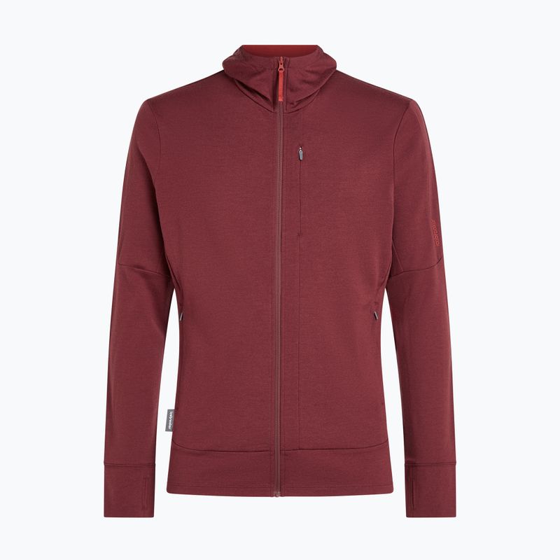 Felpa da uomo Icebreaker Merino 260 Quantum IV LS Zip Hoodie port/agate 10