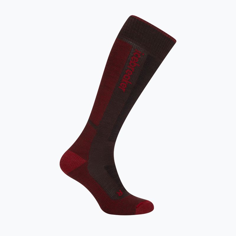 Calze da sci da uomo icebreaker Merino Ski+ Medium OTC bittersweet/port/black 2