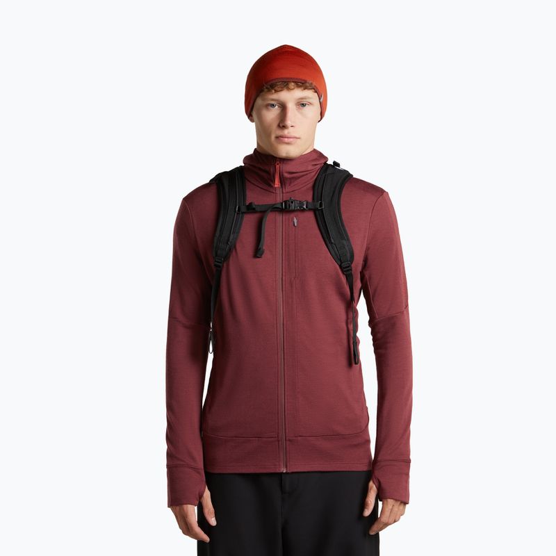 Cappello icebreaker Merino 200 Oasis Reversible Beanie agate/port 6