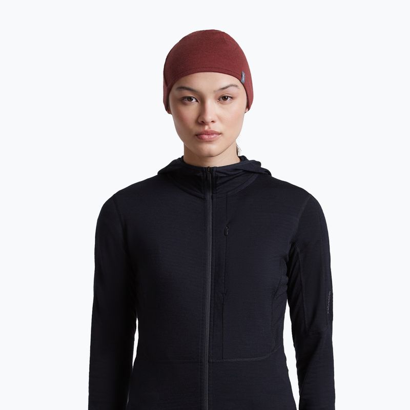 Cappello icebreaker Merino 200 Oasis Reversible Beanie agate/port 9