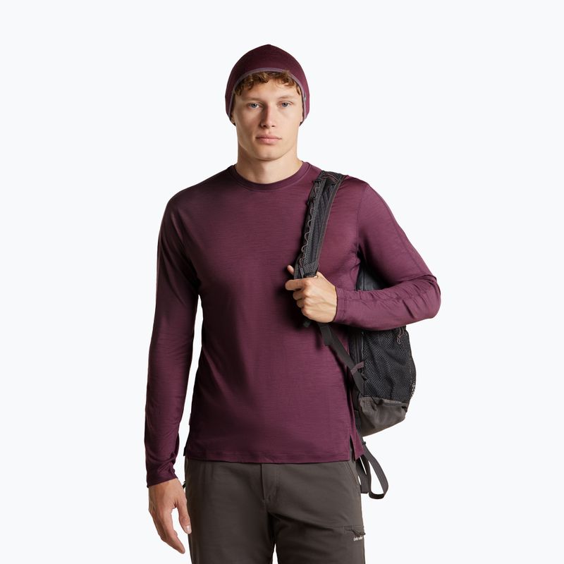 Cappello icebreaker Merino 200 Oasis Reversible Beanie berry/grey plum 5