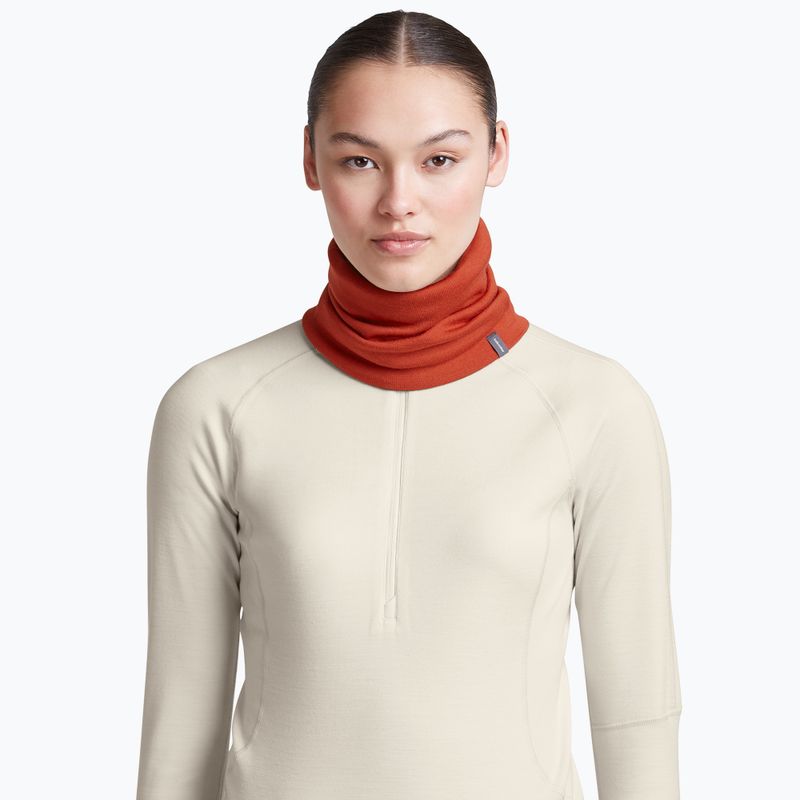 Bandana multiuso icebreaker Apex Chute agate 6