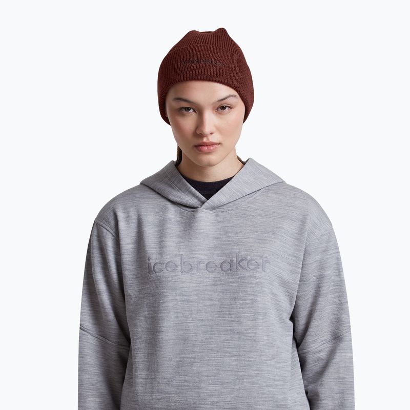 Cappello invernale icebreaker Merino All Day Toque Beanie port/bittersweet 5