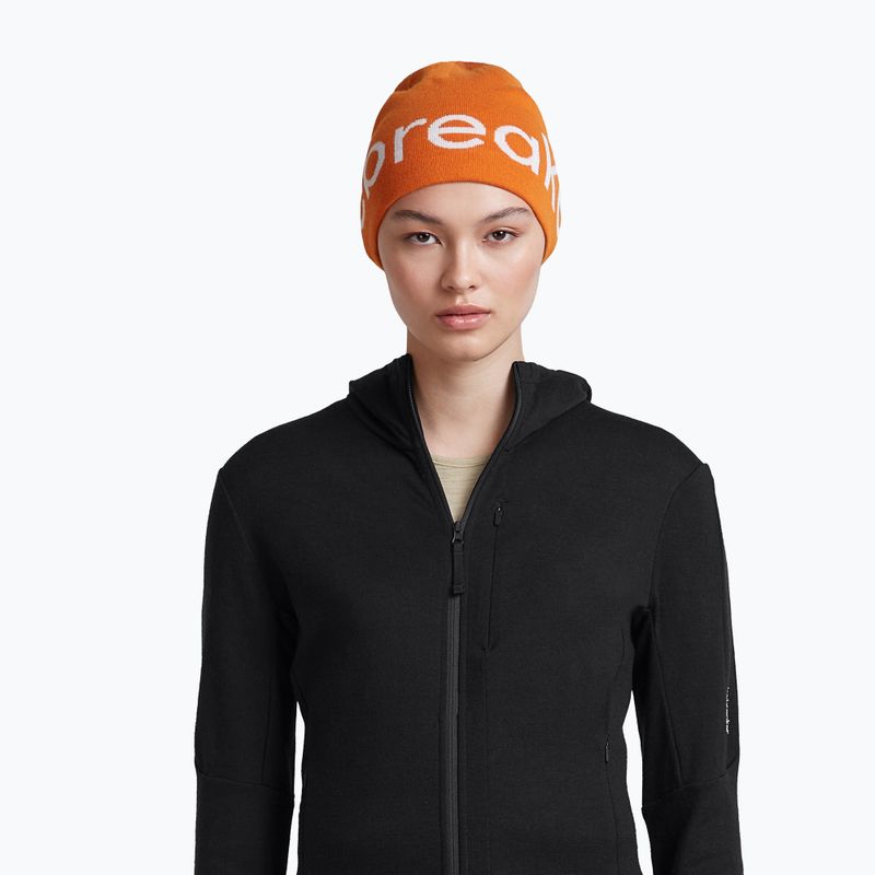 Cappello invernale icebreaker Merino Icebreaker Beanie spice/ecru heather 6