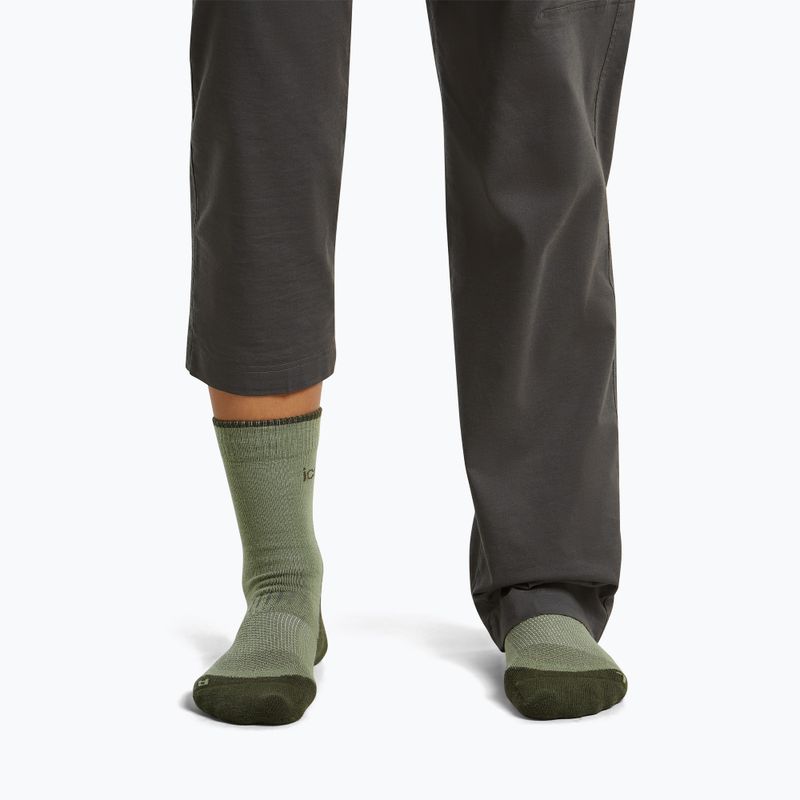 Calze da donna Icebreaker Merino Hike+ Light Crew lichen/dark loden 3