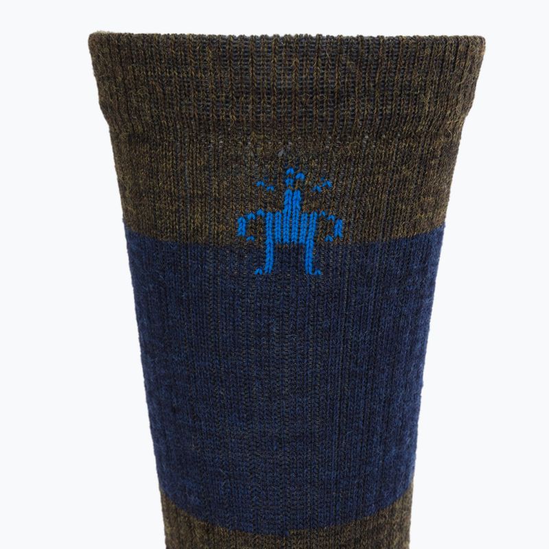 Calzini da trekking Smartwool Everyday Blocked Stripe Crew verde-blu SW001940D11 3