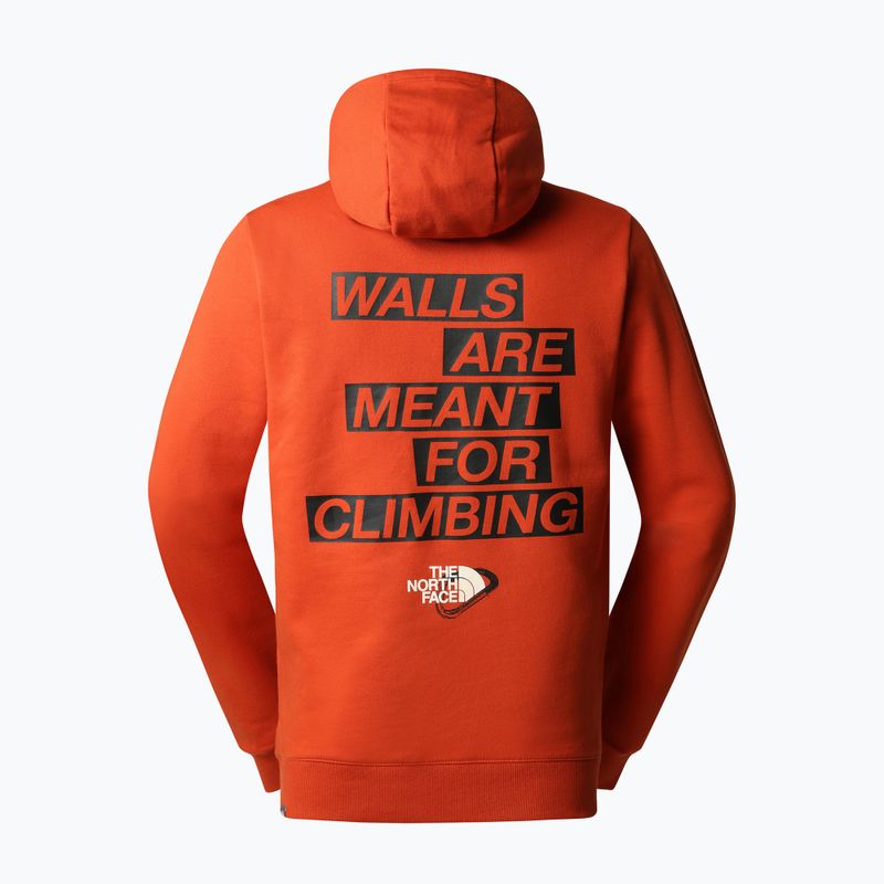 Felpa da trekking da uomo The North Face Outdoor Graphic Hoodie Bronzo chiaro arrugginito 2