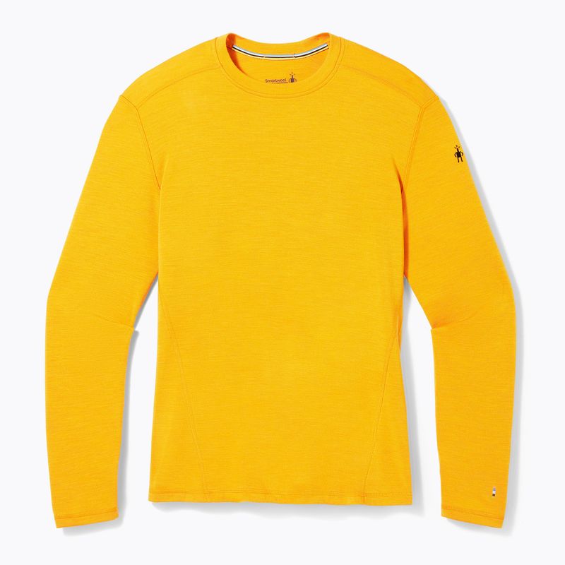 Smartwool Merino 250 Baselayer Crew Uomo in scatola honey gold thermal longsleeve 6