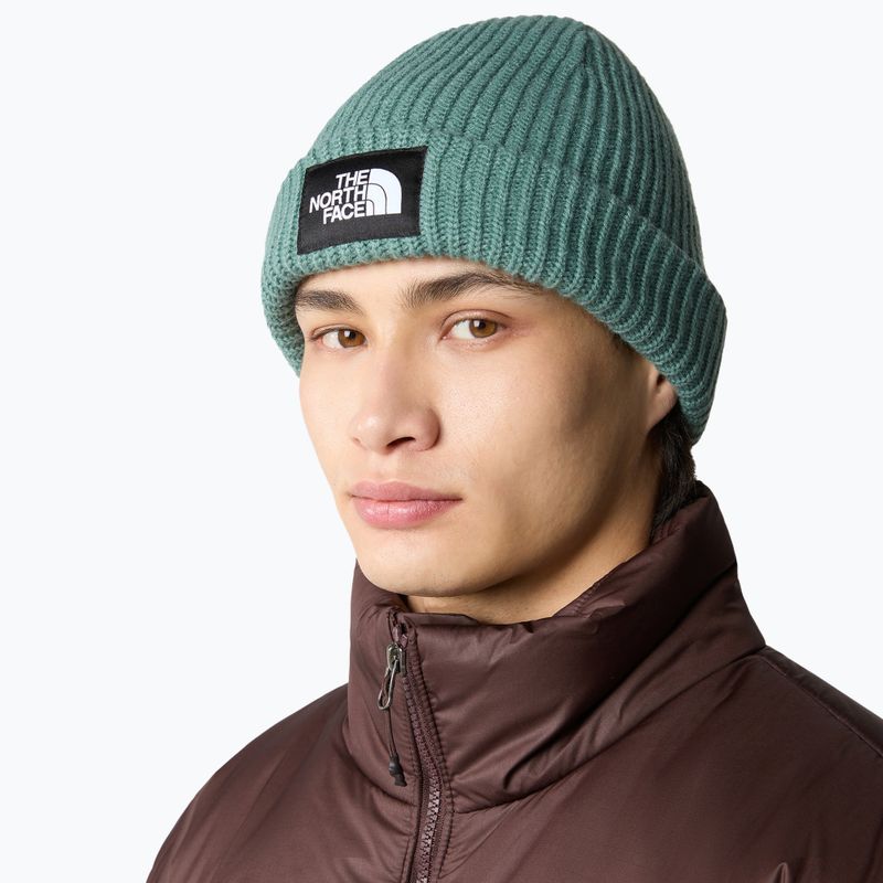 Berretto invernale The North Face Salty dark sage 4