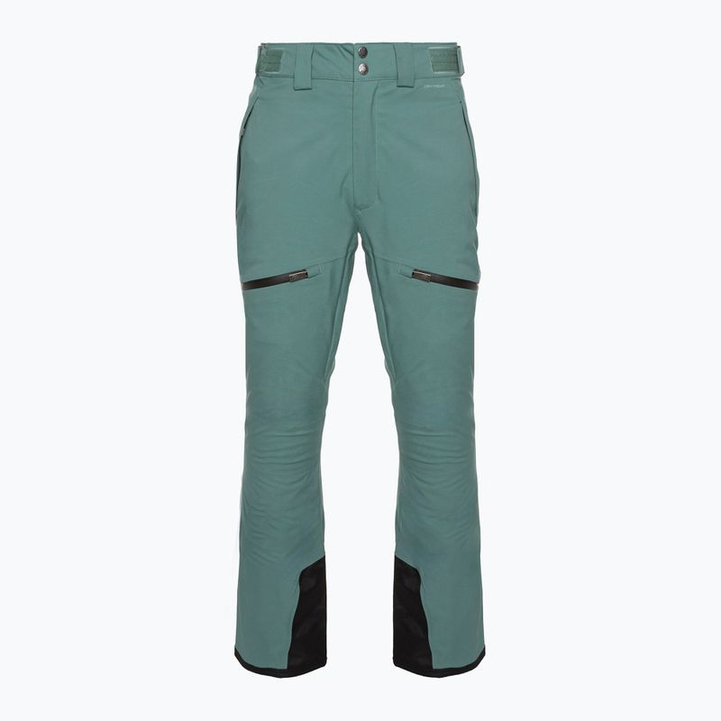 Pantaloni da sci da uomo The North Face Chakal dark sage