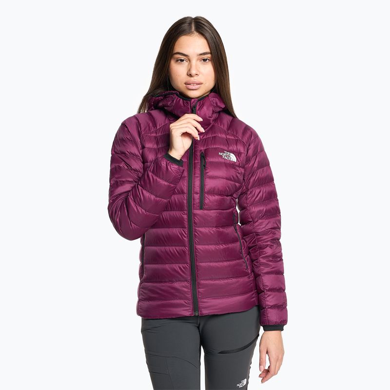 Piumino da donna The North Face Summit Breithorn Hoodie boysenberry
