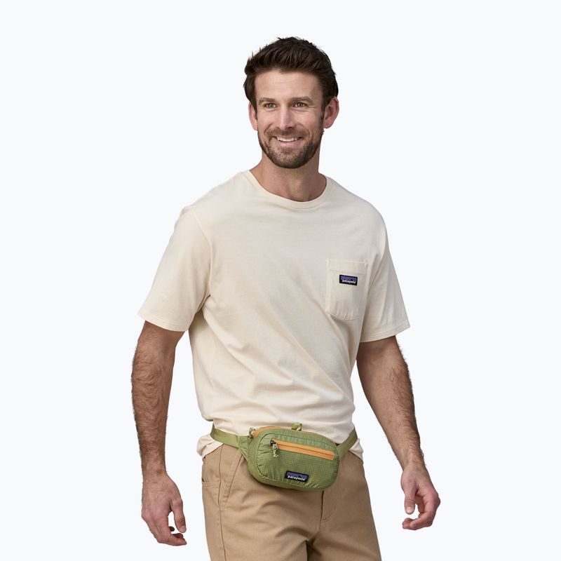 Patagonia Ultralight Black Hole Mini Hip Pack 1 l buckhorn green kidney pouch 3