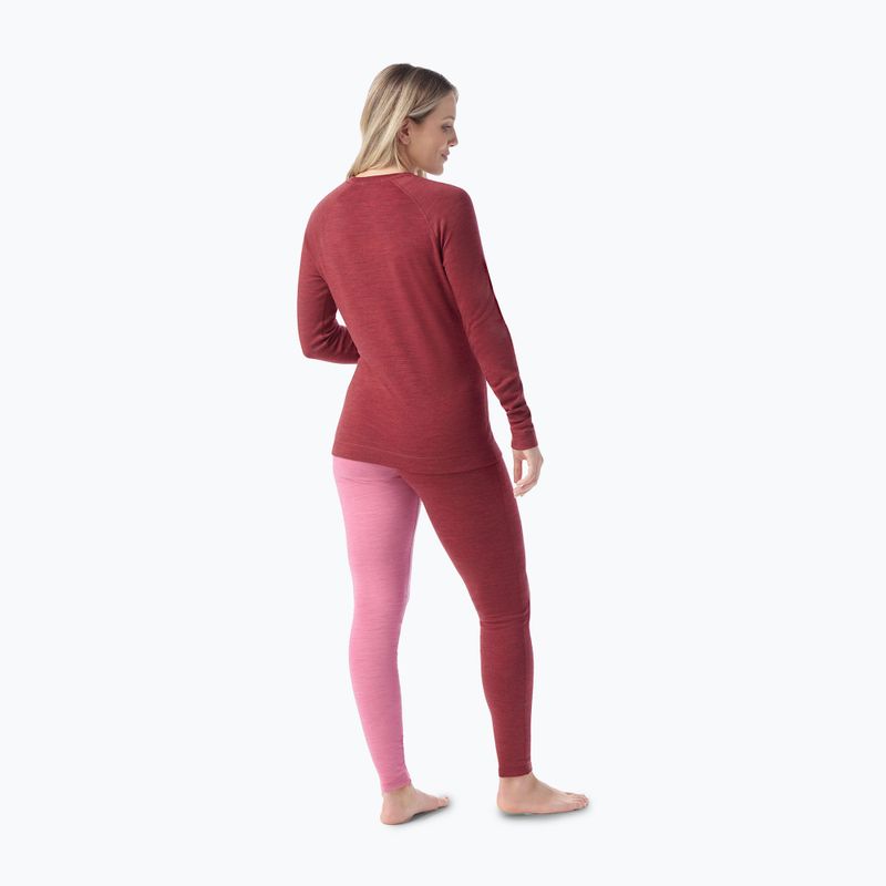 Smartwool Merino 250 Baselayer Crew Donna in scatola ribes heather thermal longsleeve 2