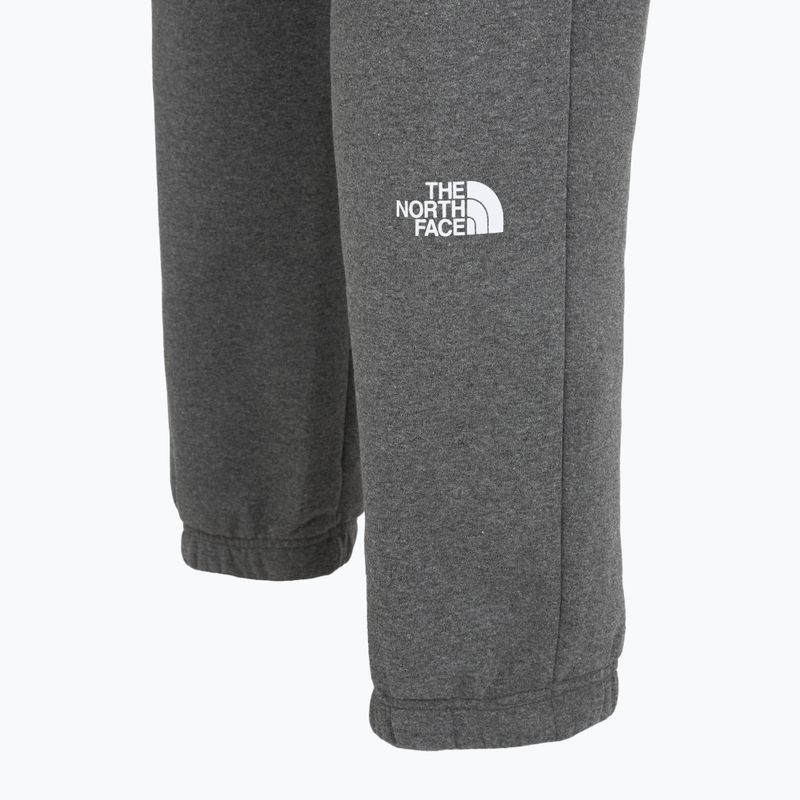Pantaloni da uomo The North Face Varsity Graphic grigio erica medio 4