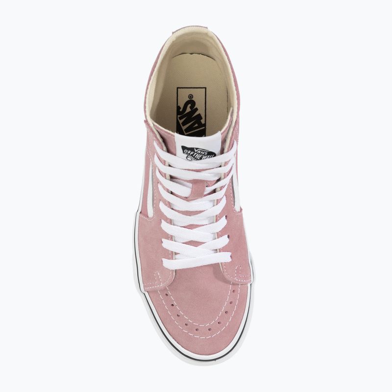 Vans Sk8-Hi Tapered teoria scarpe foxglove 5