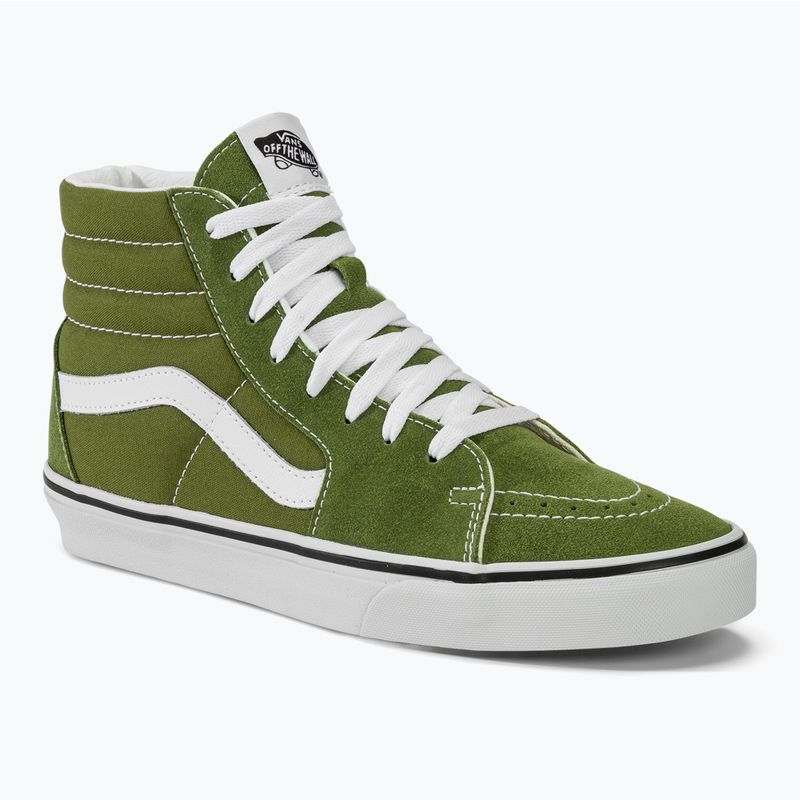 Scarpe Vans SK8-Hi teoria del pesto