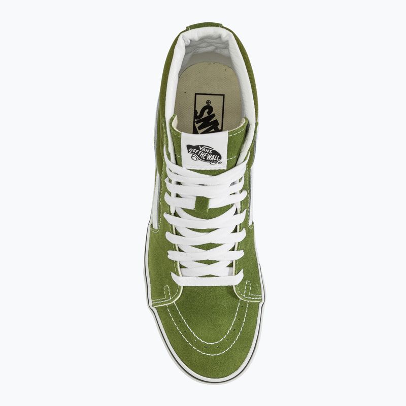Scarpe Vans SK8-Hi teoria del pesto 5
