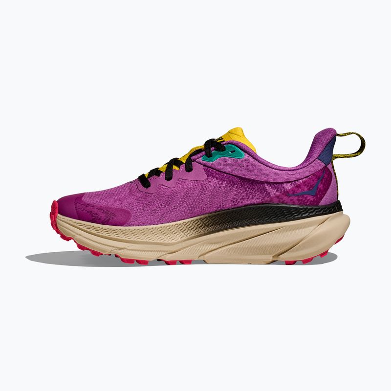 Scarpe da corsa da donna HOKA Challenger 7 GTX superbloom/ farina d'avena 3