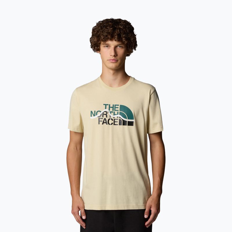 Maglietta The North Face Mountain Line Tee ghiacciata da uomo