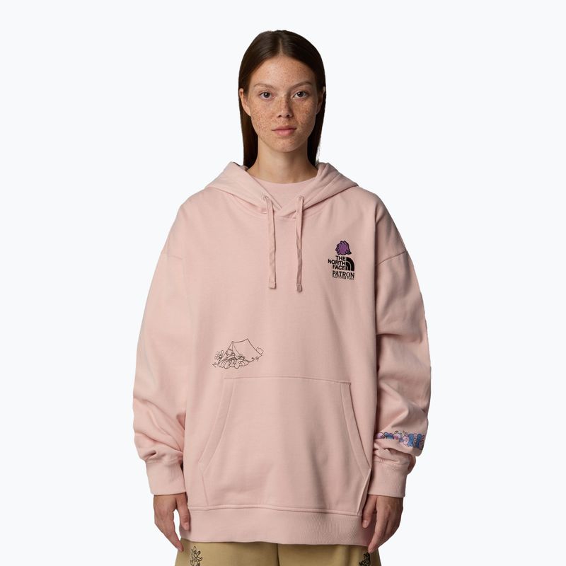 The North Face Mountain Cleanup Felpa con cappuccio rosa muschio