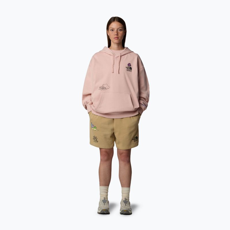 The North Face Mountain Cleanup Felpa con cappuccio rosa muschio 2
