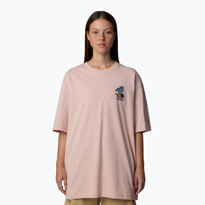 Maglietta The North Face Reflective Box Nse Tee Uomo rosa muschio