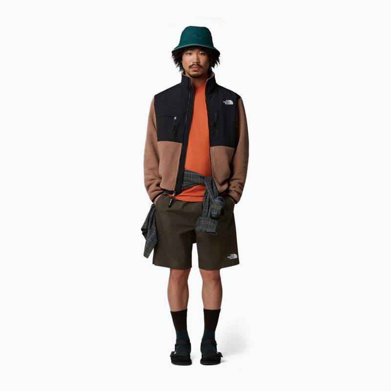 Pantaloncini da uomo The North Face Limestone new taupe green 2