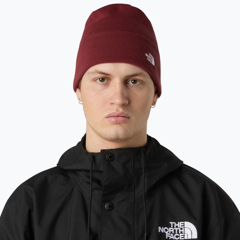 Cappello invernale The North Face Norm Beanie sumac 3
