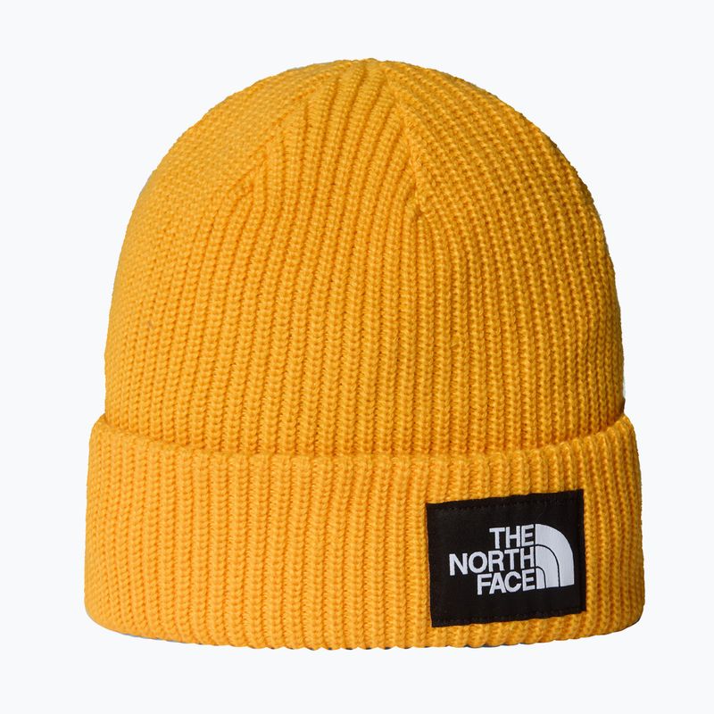 Berretto invernale The North Face Salty Lined