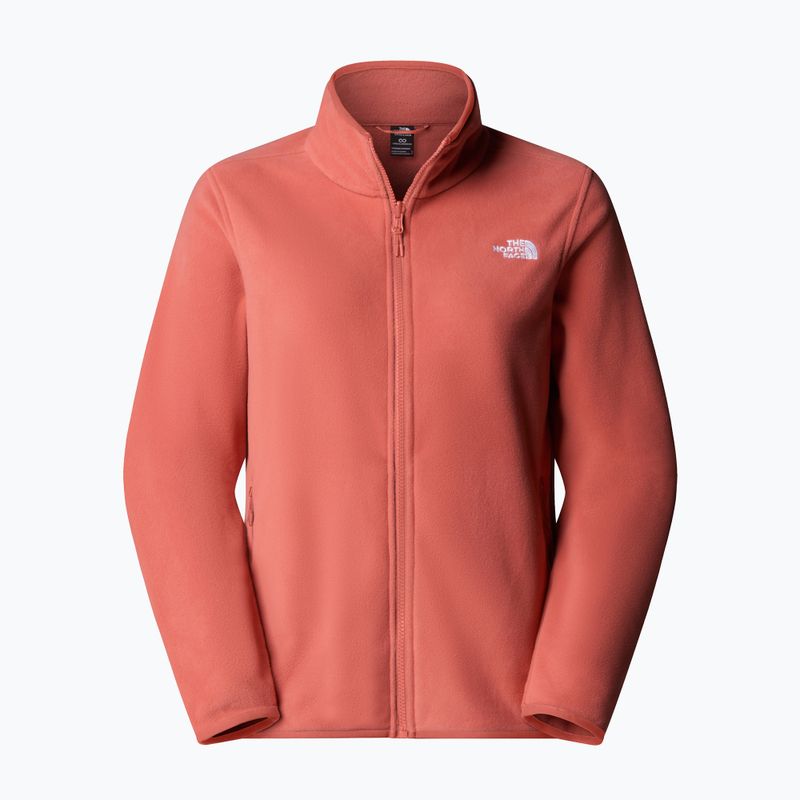 Felpa in pile da donna The North Face Glacier Fleece polvere di mars 5